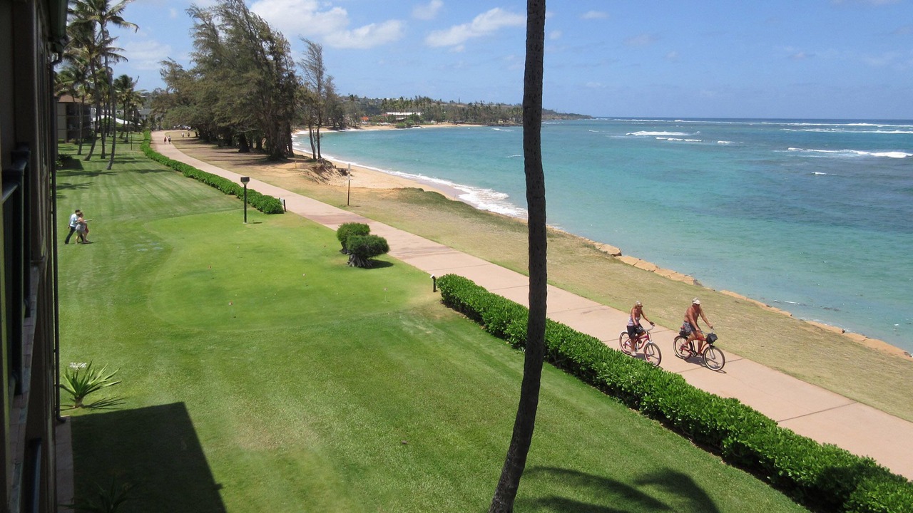 Photo of Others in Kapaa
