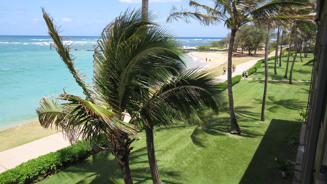 Photo of Others in Kapaa