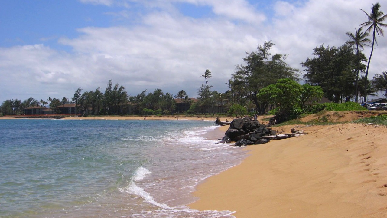 Photo of Others in Kapaa