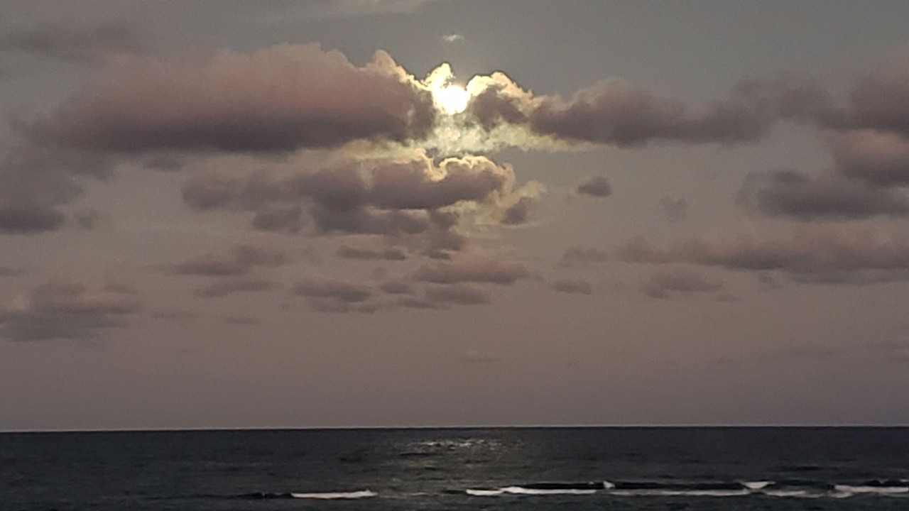 Photo of Others in Kapaa