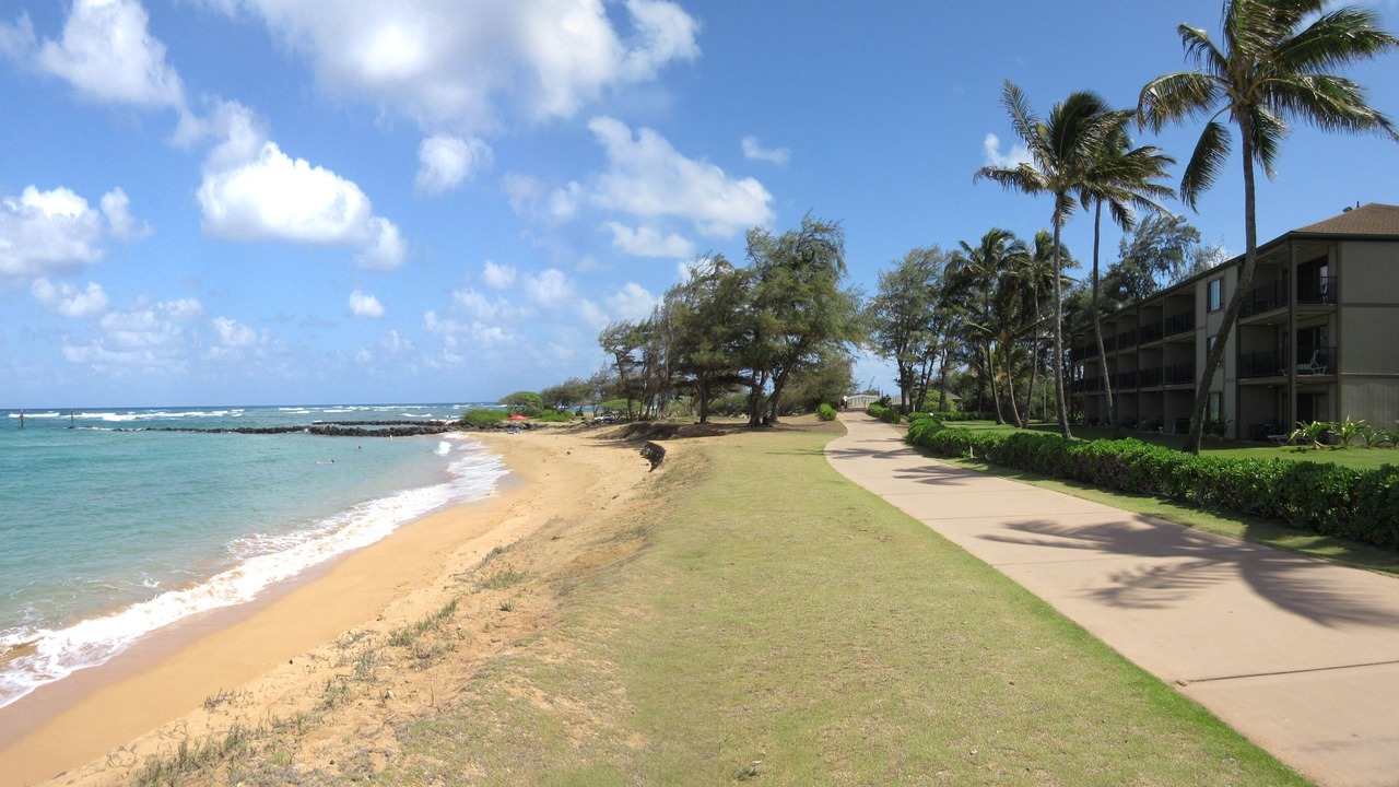 Photo of Others in Kapaa