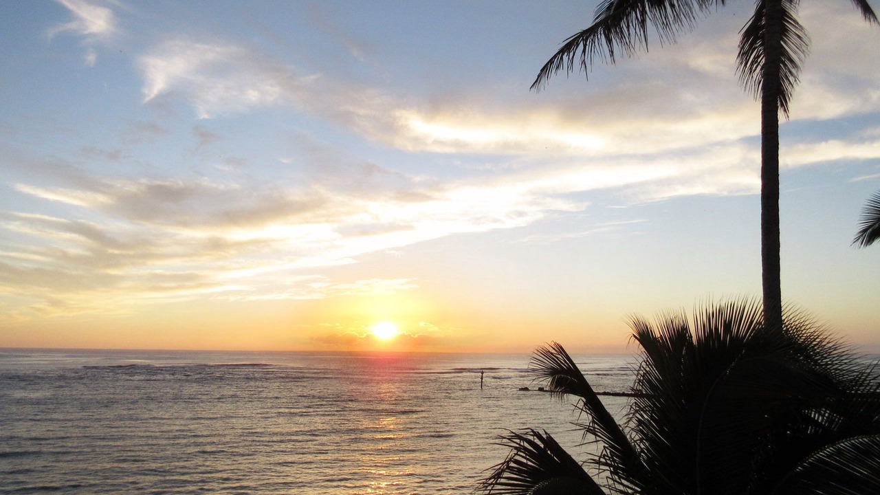 Photo of Others in Kapaa