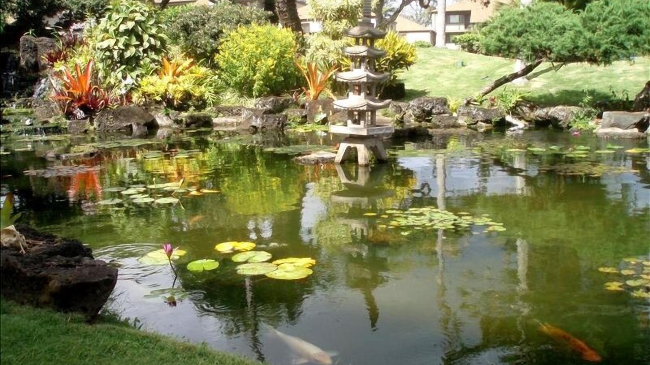 Photo of Others in Kapaa