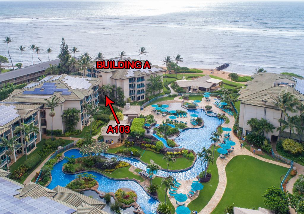Photo of Others in Wailua