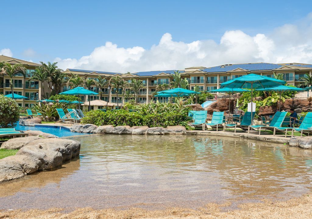 Photo of Outdoor in Wailua