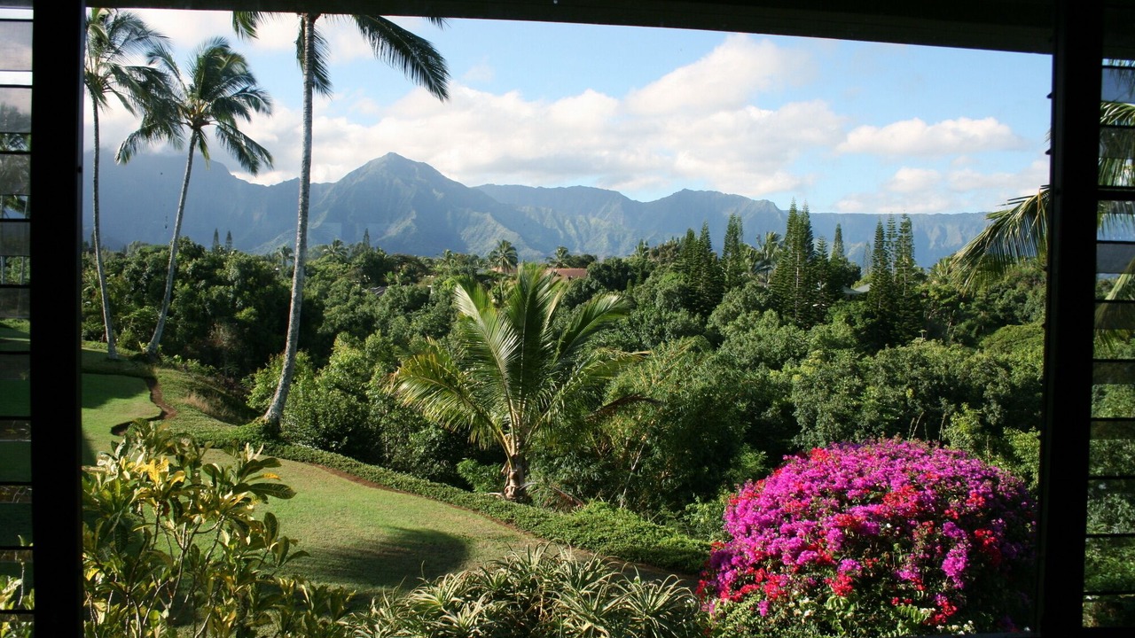 Photo of Others in Princeville