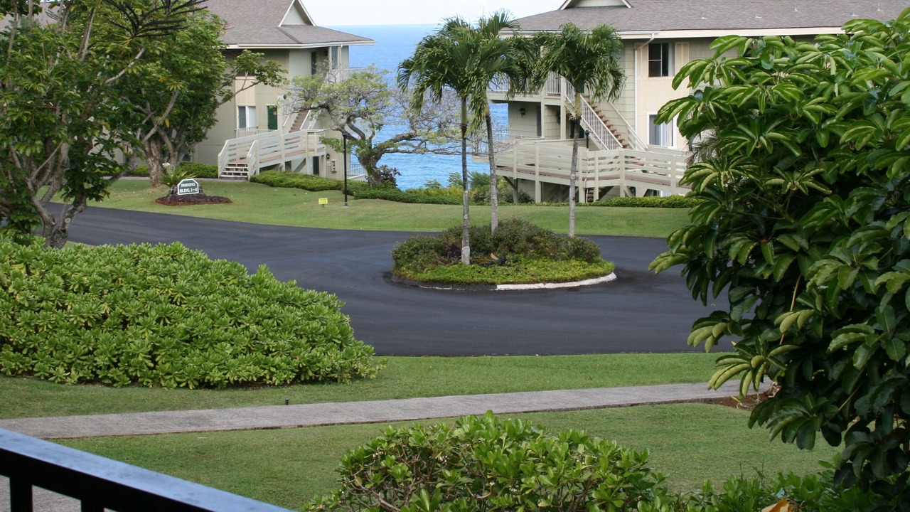 Photo of Others in Princeville
