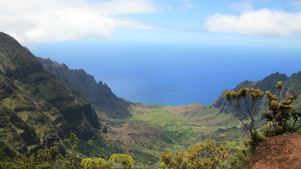 Photo of Others in Princeville