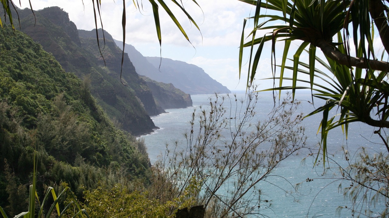 Photo of Others in Princeville