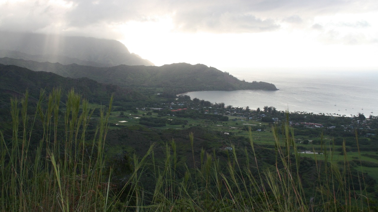 Photo of Others in Princeville