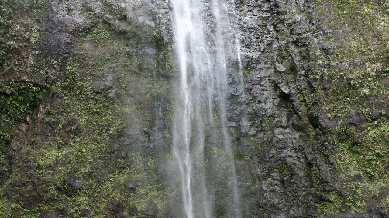 Photo of Outdoor in Princeville