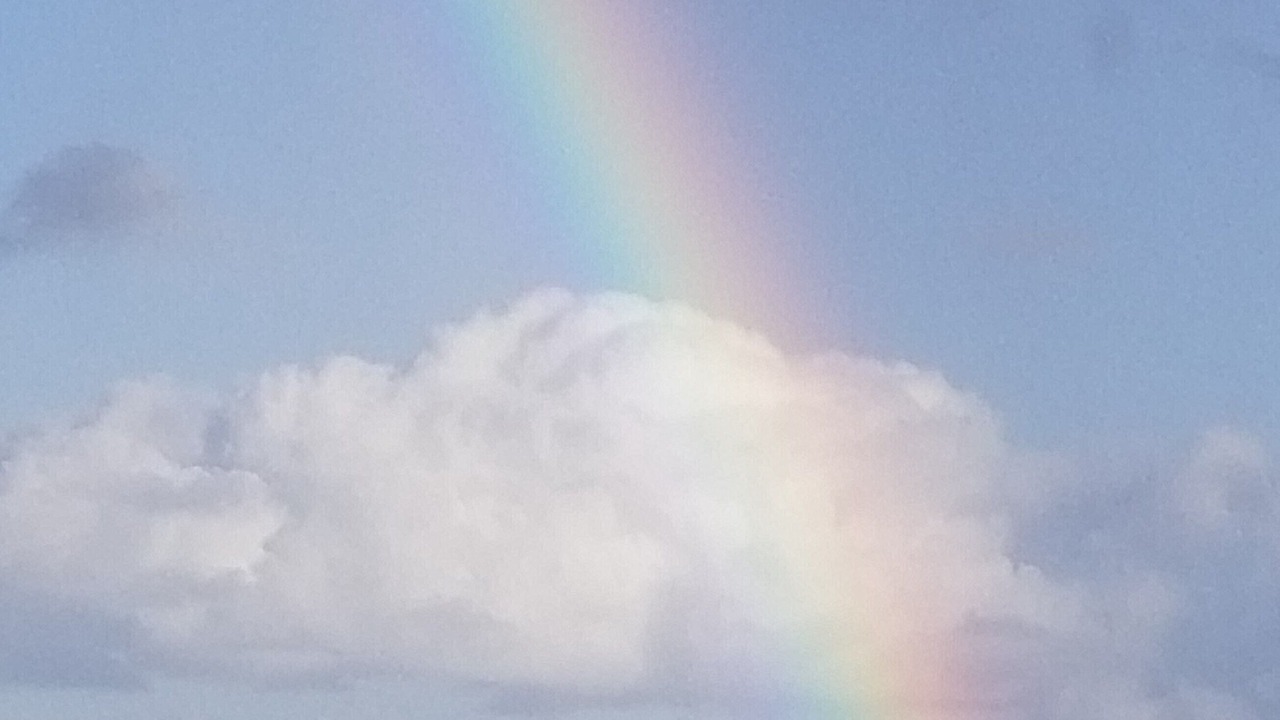 Photo of Others in Wailua