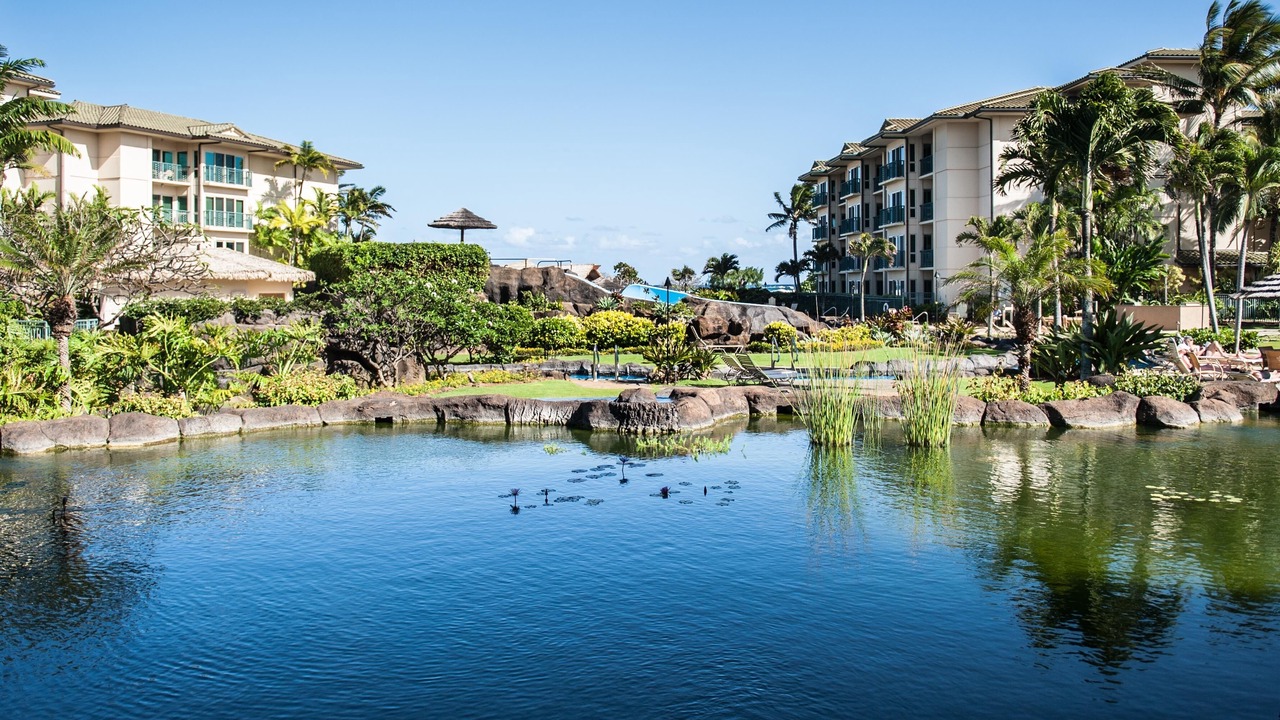 Photo of Others in Wailua