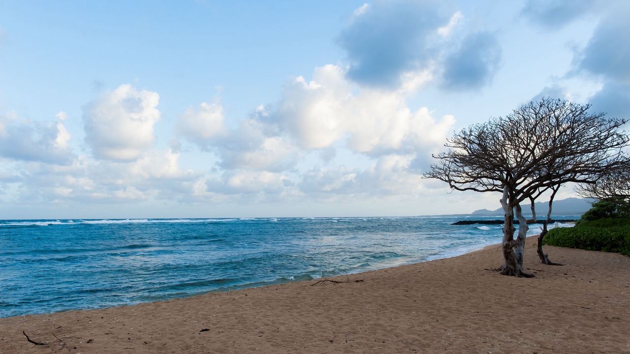 Photo of Others in Wailua