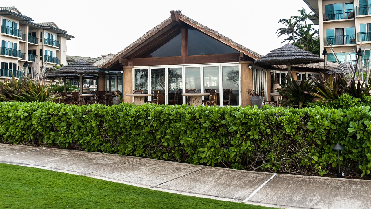 Photo of Others in Wailua