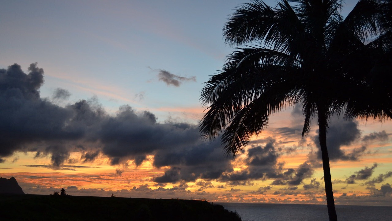 Photo of Others in Princeville