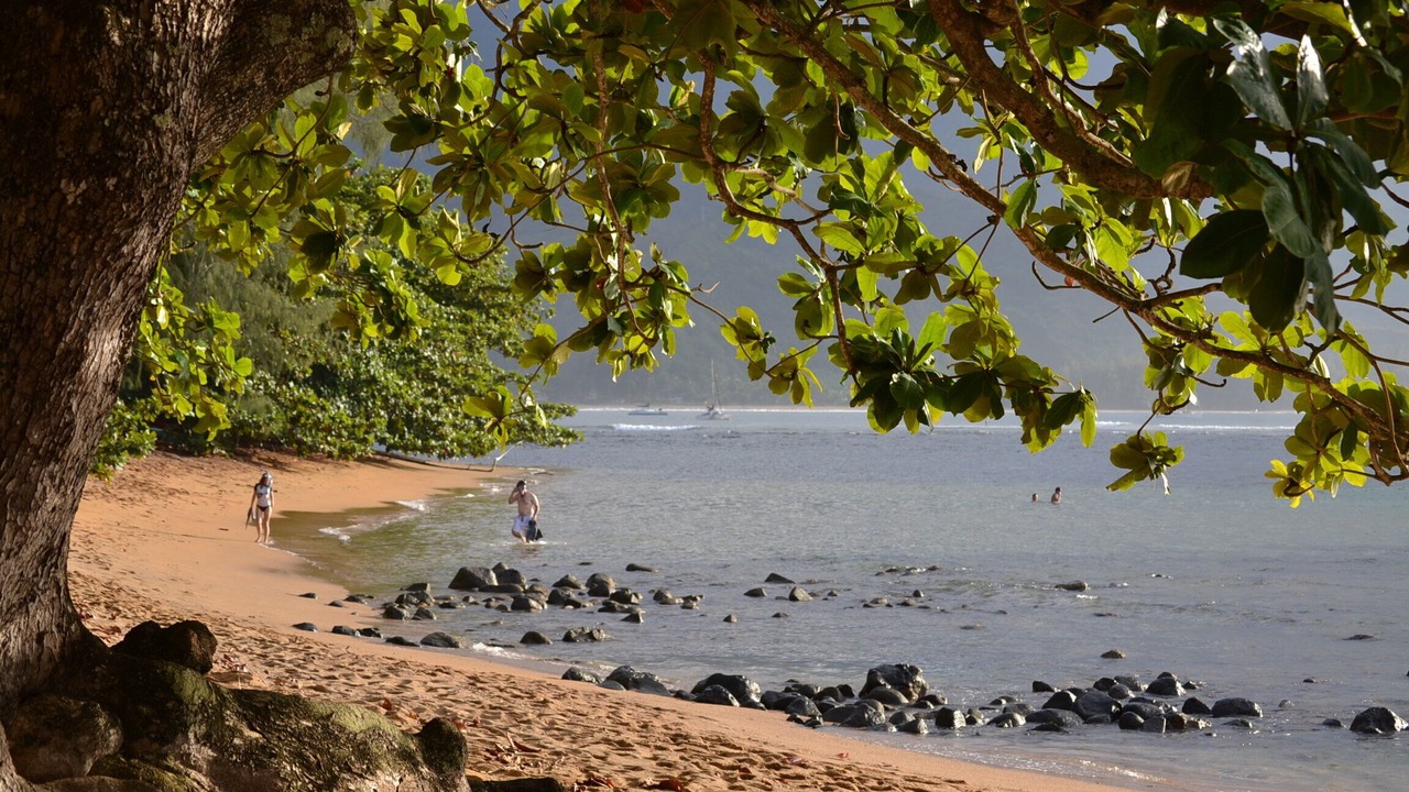 Photo of Others in Princeville