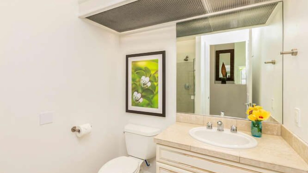 Photo of Bathroom in Princeville