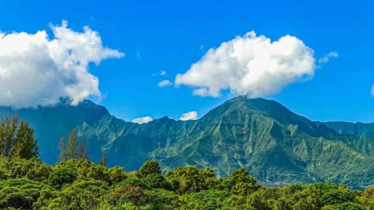 Photo of Others in Princeville