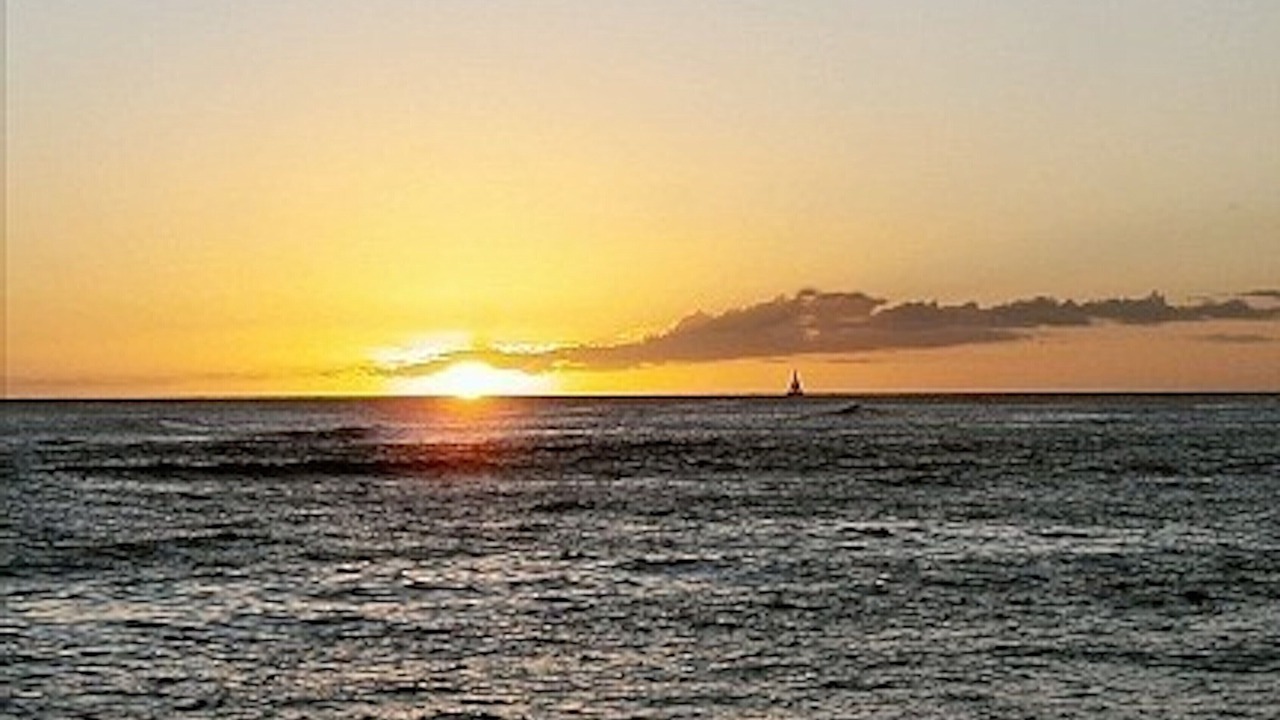 Photo of Others in Poipu