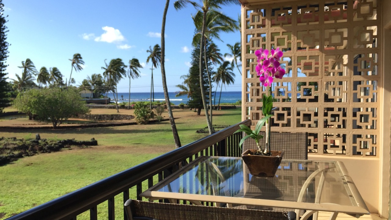 Photo of Others in Poipu