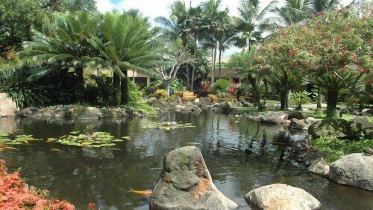 Photo of Outdoor in Lihue