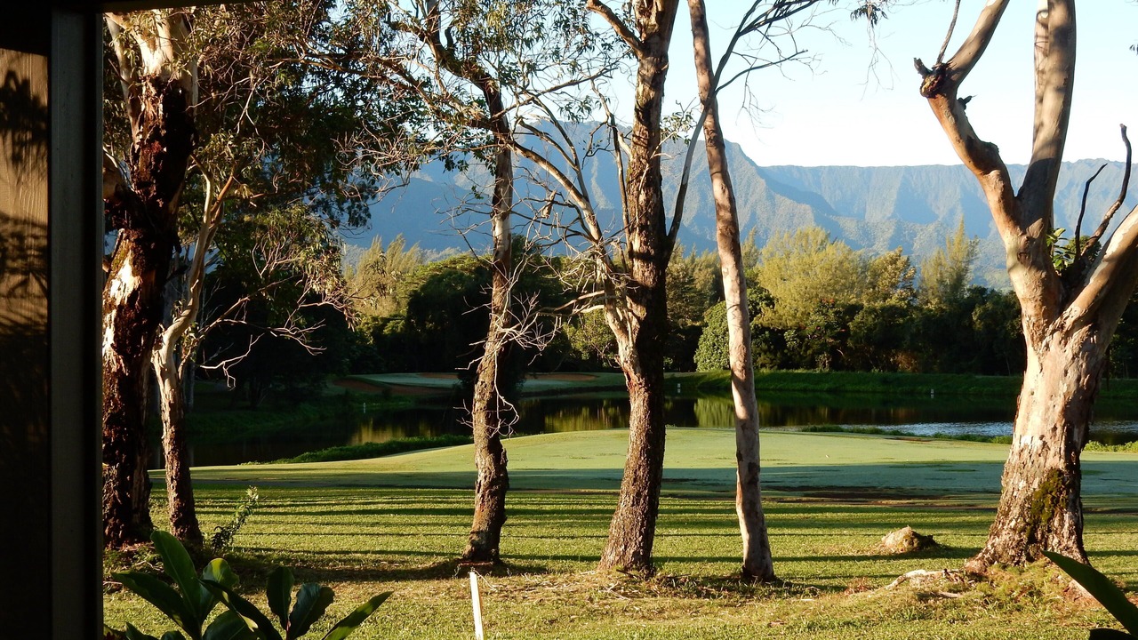 Photo of Outdoor in Princeville