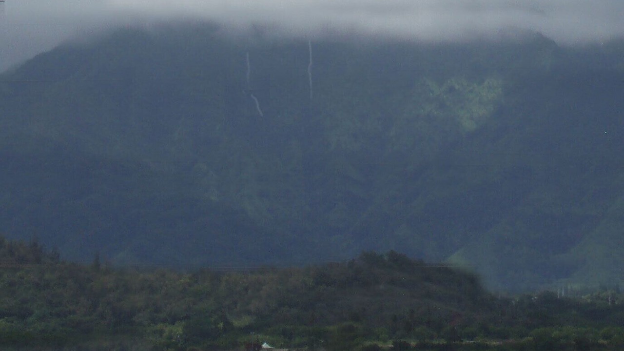 Photo of Others in Wailua