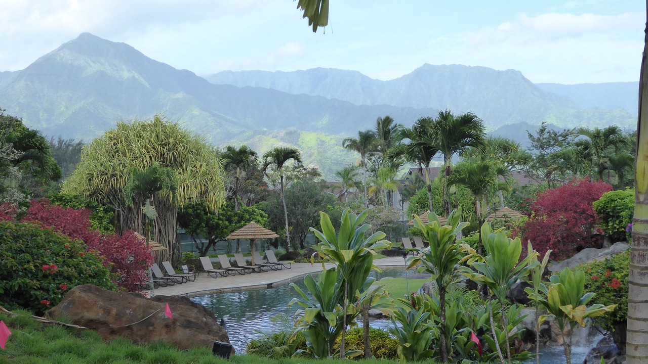 Photo of Outdoor in Princeville