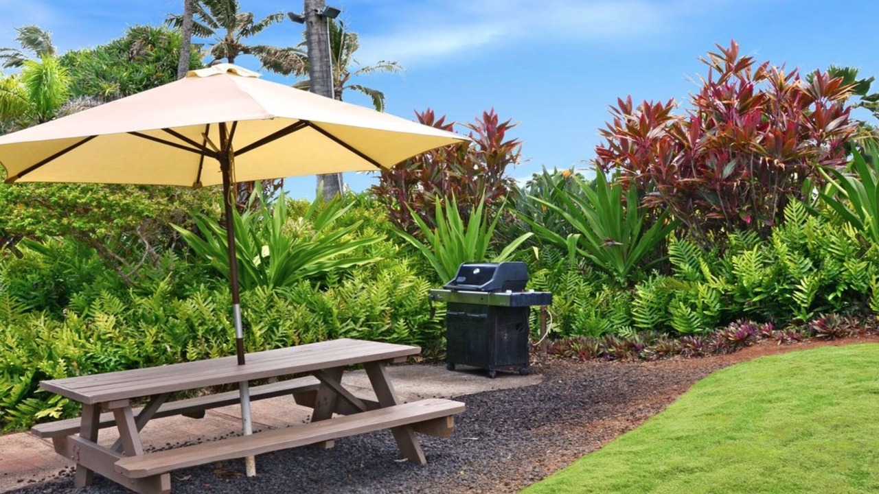 Photo of Others in Kapaa
