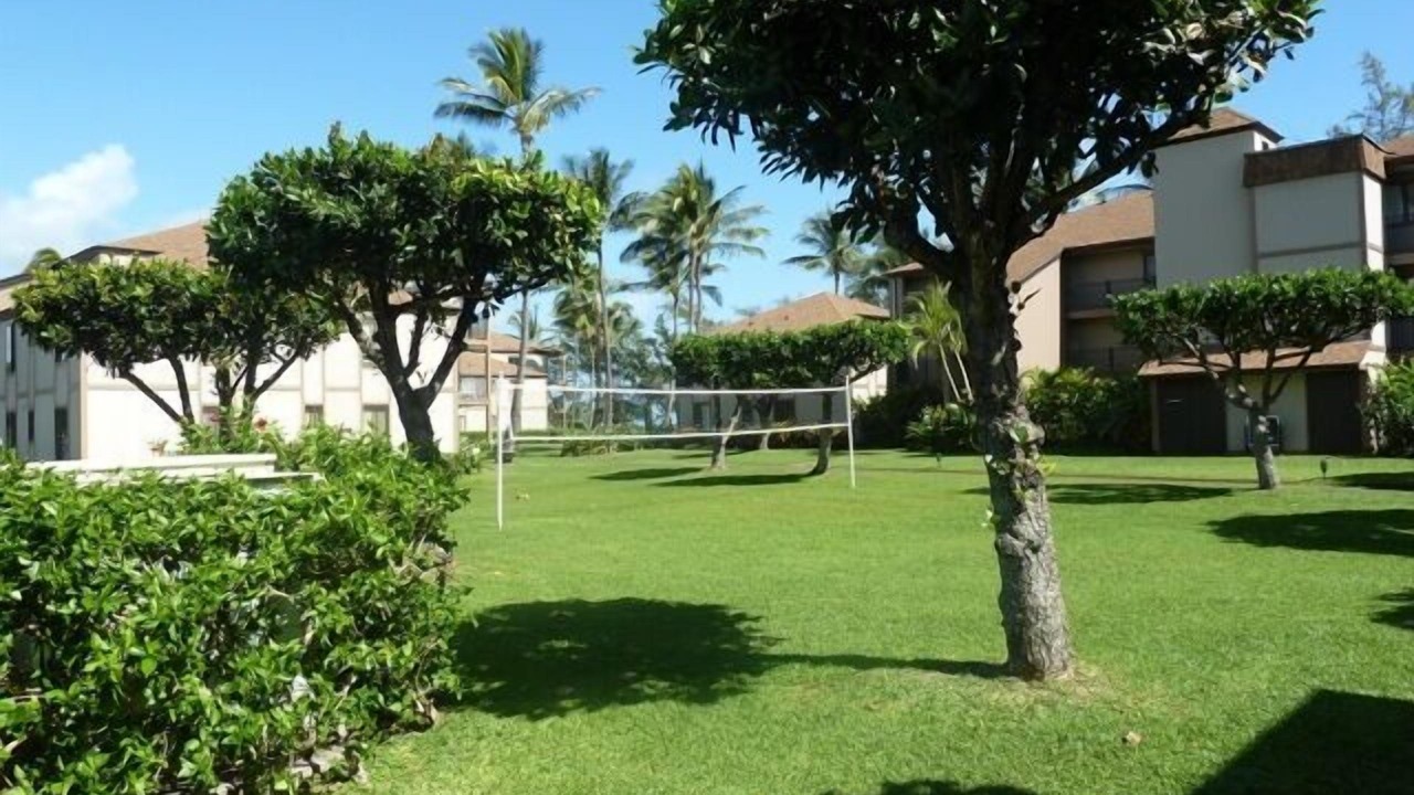 Photo of Others in Kapaa