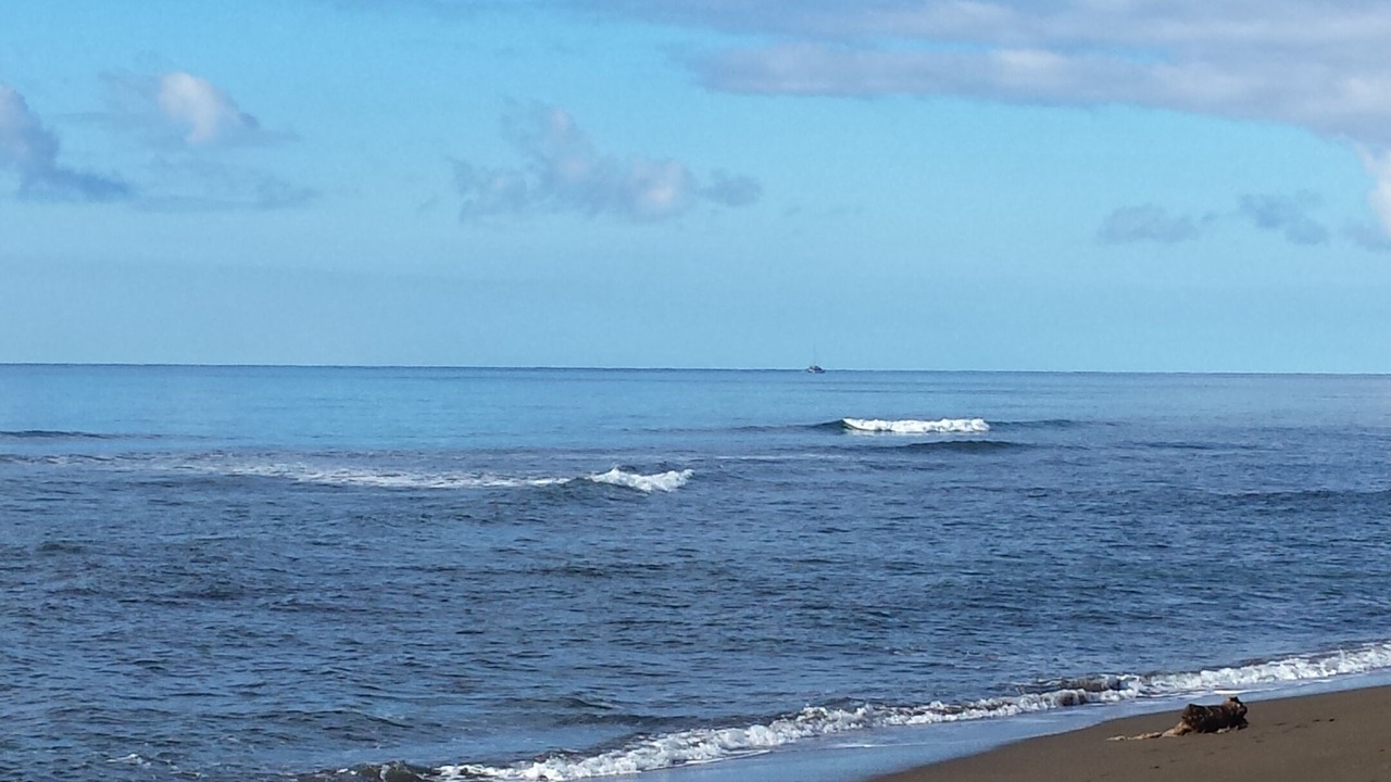 Photo of Others in Kekaha