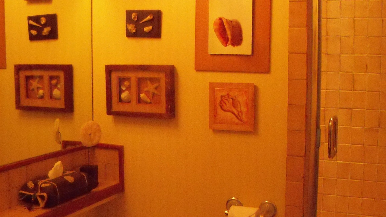 Photo of Bathroom in Kekaha