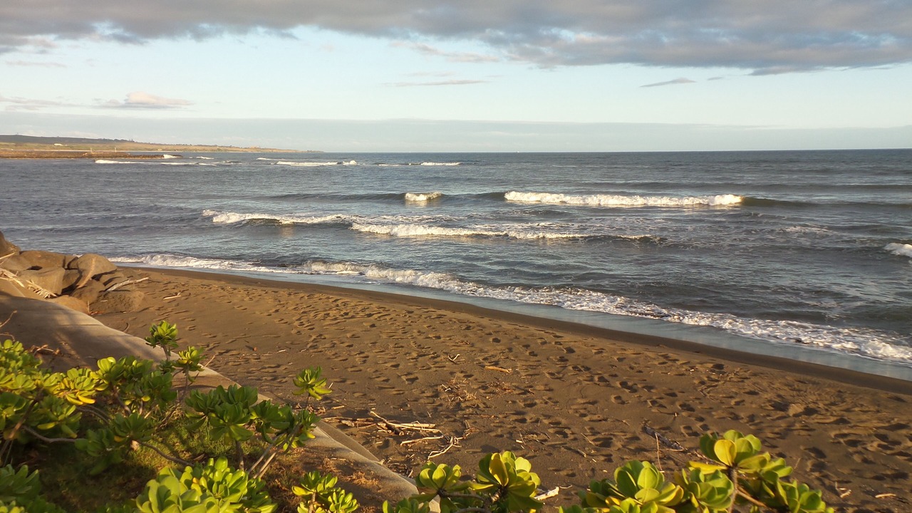 Photo of Others in Kekaha