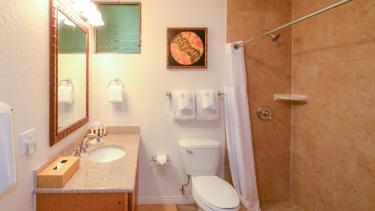 Photo of Bathroom in Princeville