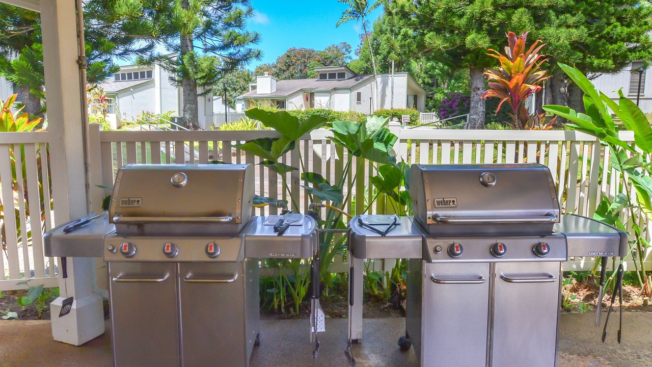 Photo of Outdoor in Princeville