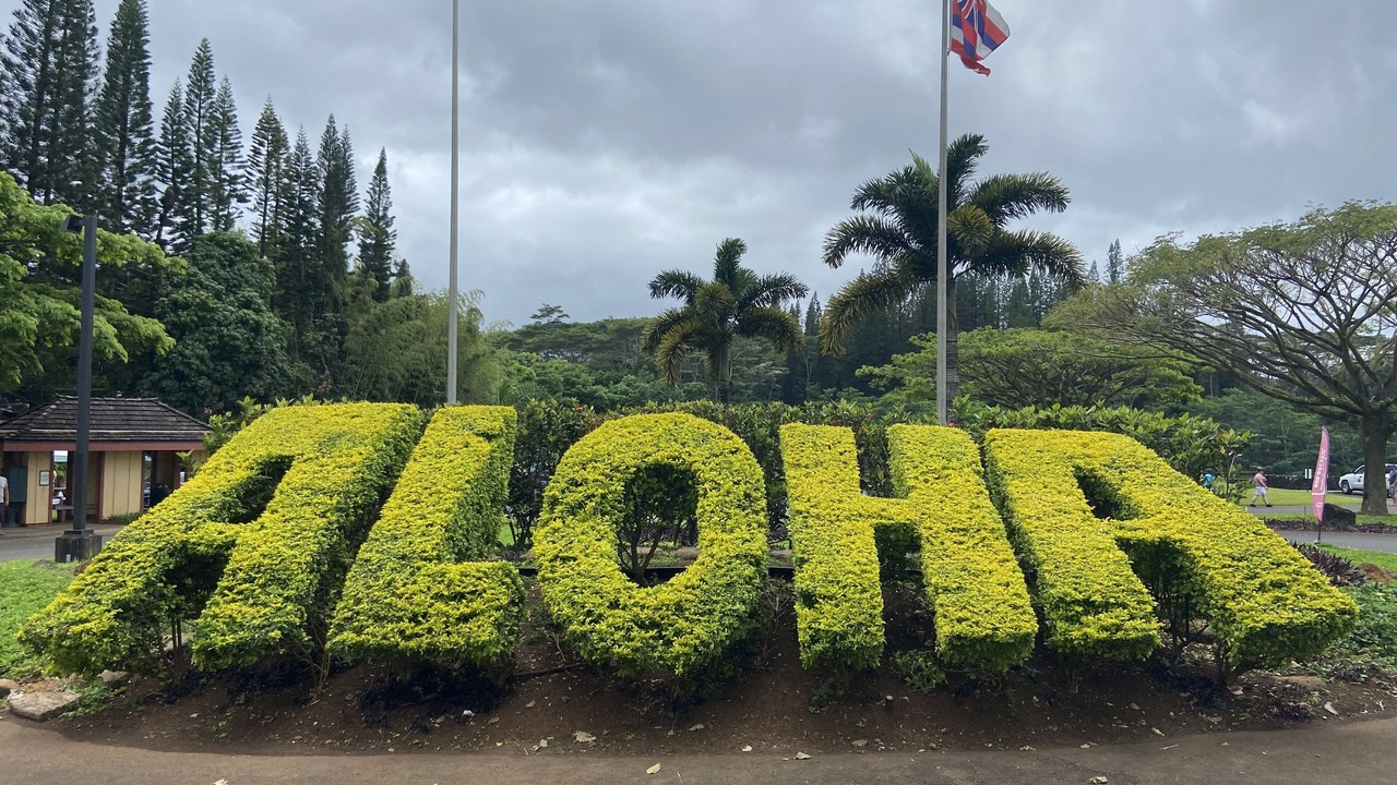 Photo of Outdoor in Princeville