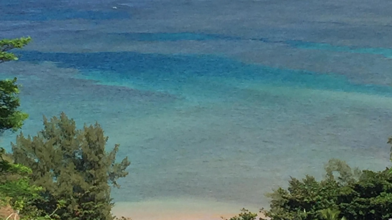 Photo of Others in Princeville