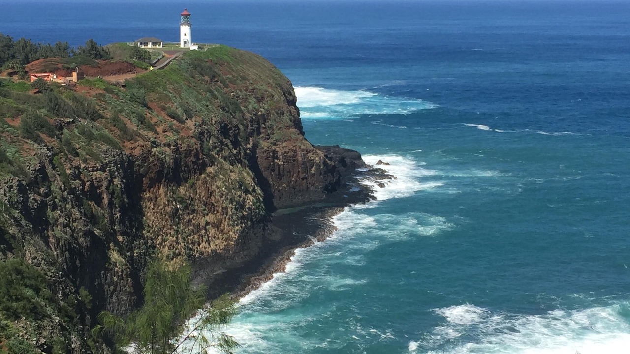 Photo of Others in Princeville