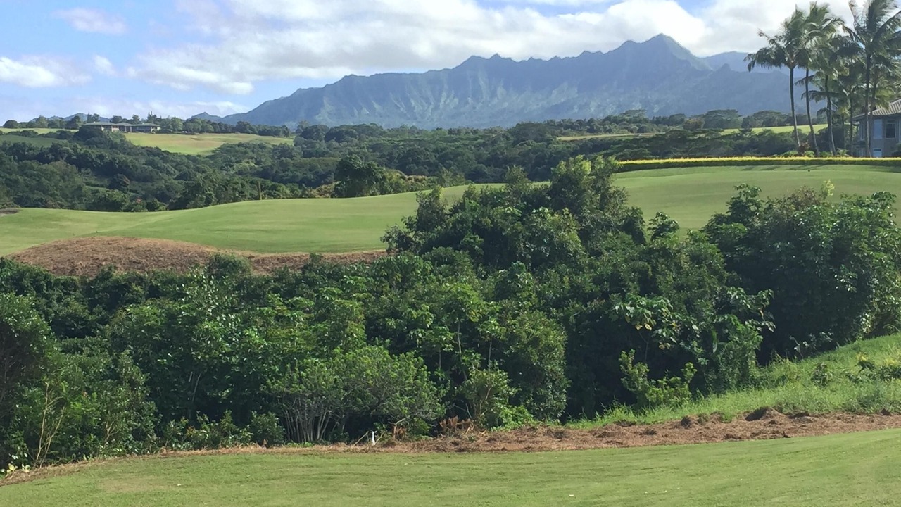 Photo of Others in Princeville