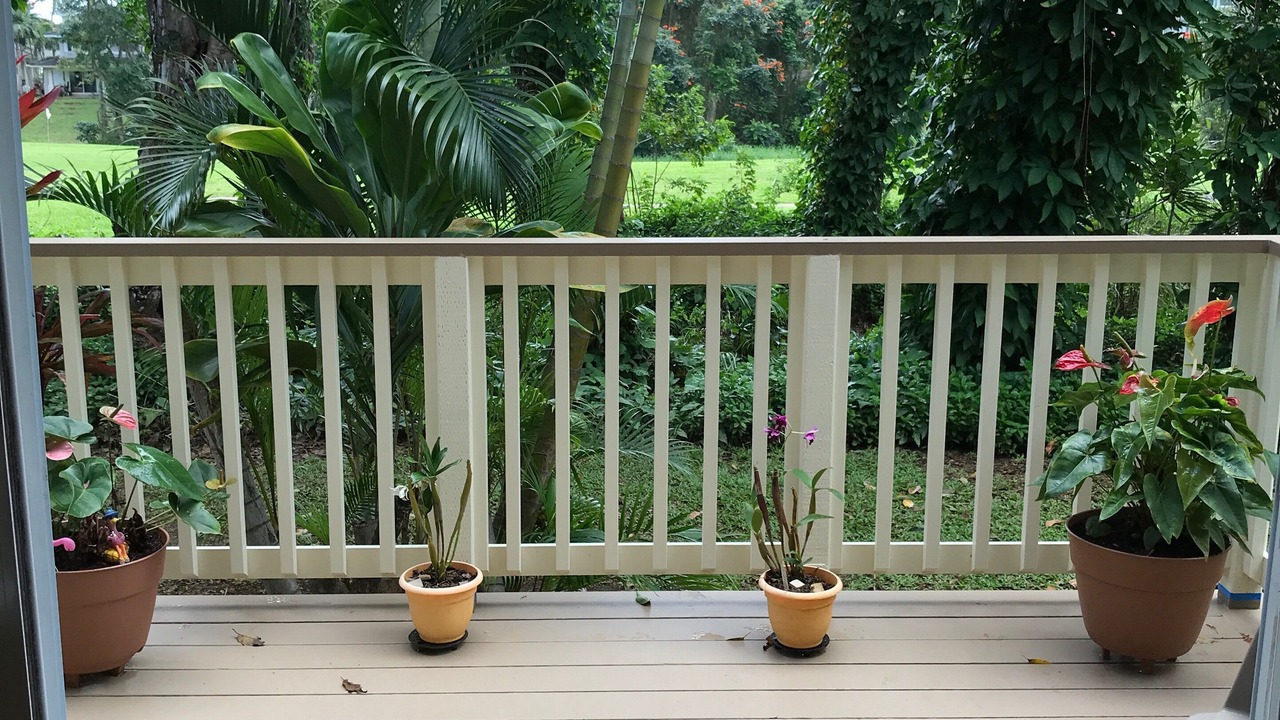 Photo of Outdoor in Princeville