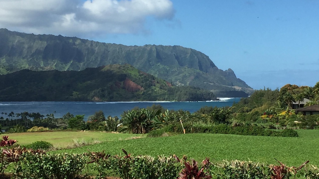 Photo of Others in Princeville