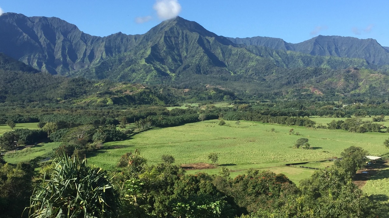 Photo of Others in Princeville