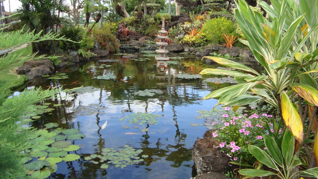 Photo of Others in Kapaa