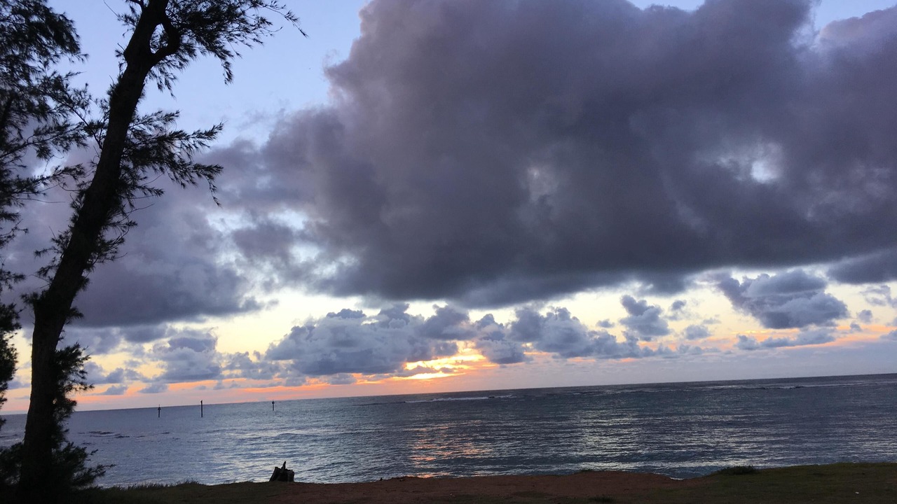 Photo of Others in Kapaa