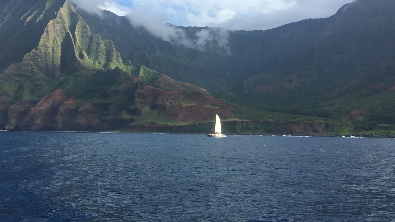 Photo of Others in Kapaa