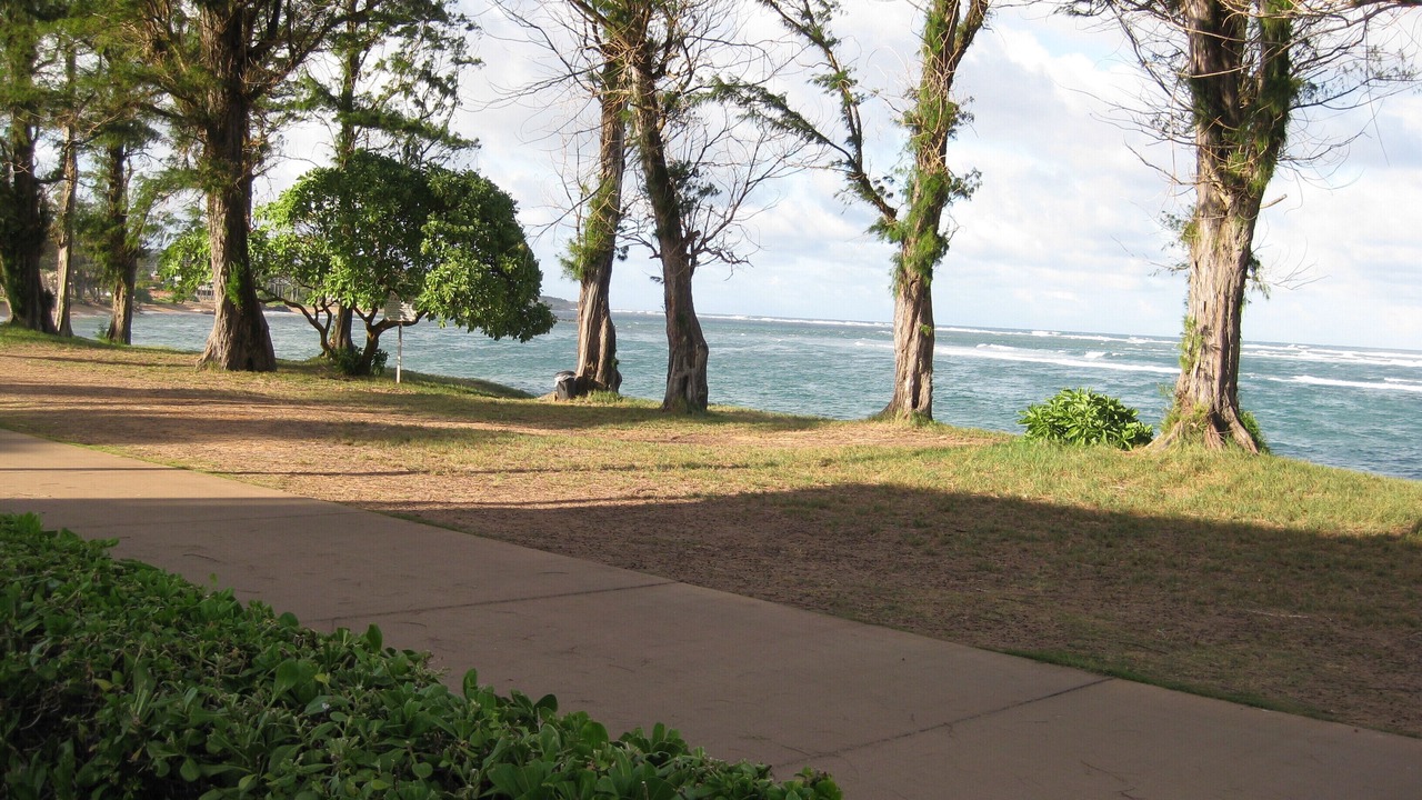 Photo of Others in Kapaa