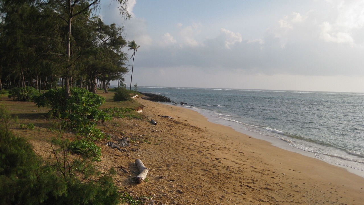 Photo of Others in Kapaa