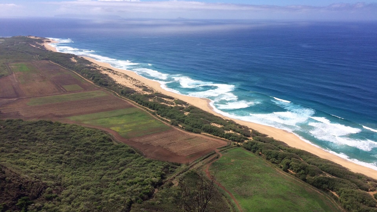 Photo of Others in Kekaha