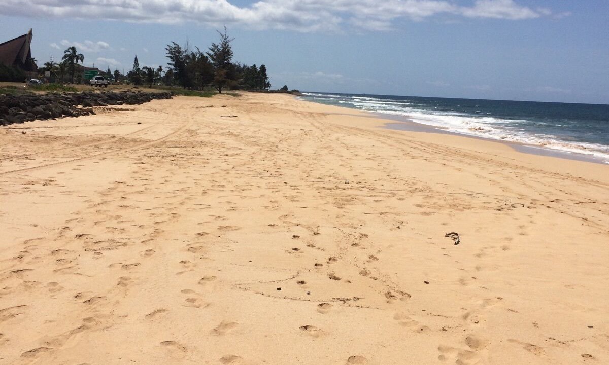 Photo of Others in Kekaha